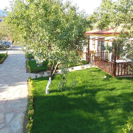 Selerdoğa Evlerı *