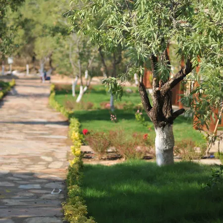 Selerdoğa Evlerı Palamutbükü