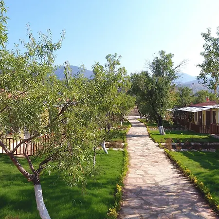 Selerdoga Evleri Palamutbuku