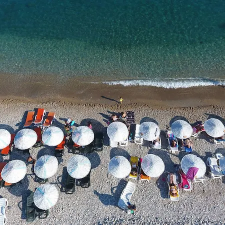 Selerdoğa Evlerı *