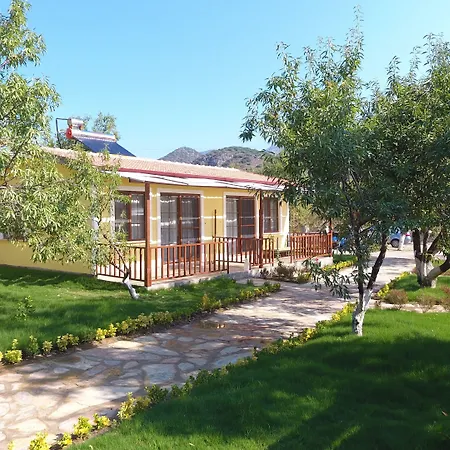 Selerdoğa Evlerı *