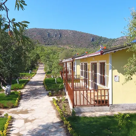 Selerdoğa Evlerı Otel