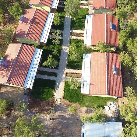 Selerdoğa Evlerı *