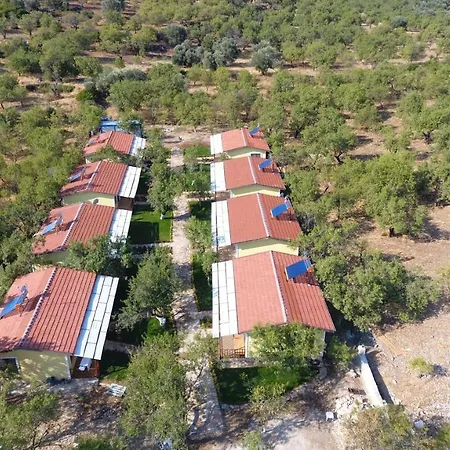 Otel Selerdoğa Evlerı