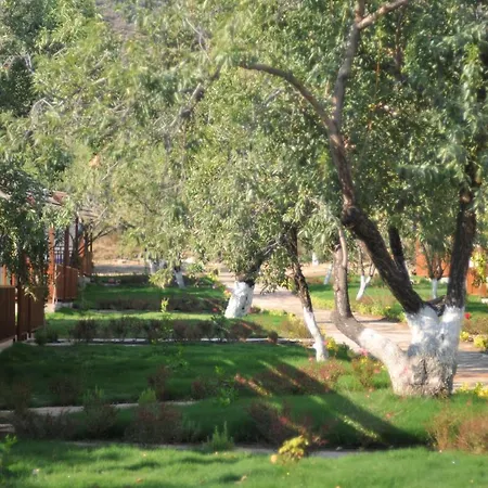 Selerdoğa Evlerı Otel *