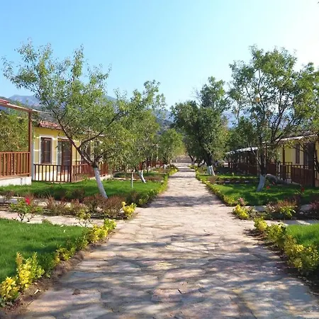 Selerdoğa Evlerı Palamutbükü