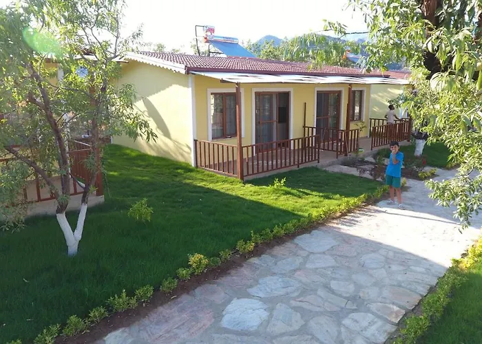 Selerdoga Evleri * Palamutbuku