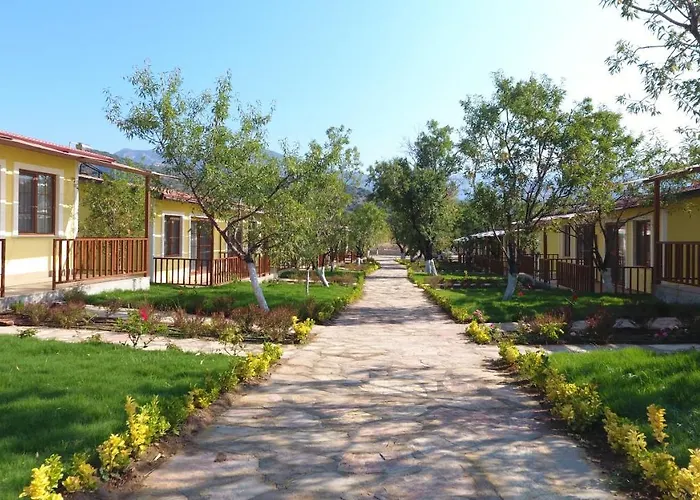 Selerdoga Evleri Palamutbuku