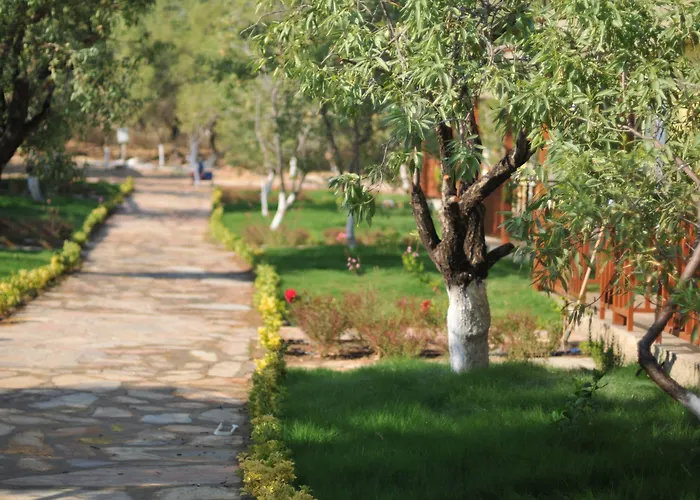 Selerdoga Evleri Palamutbuku