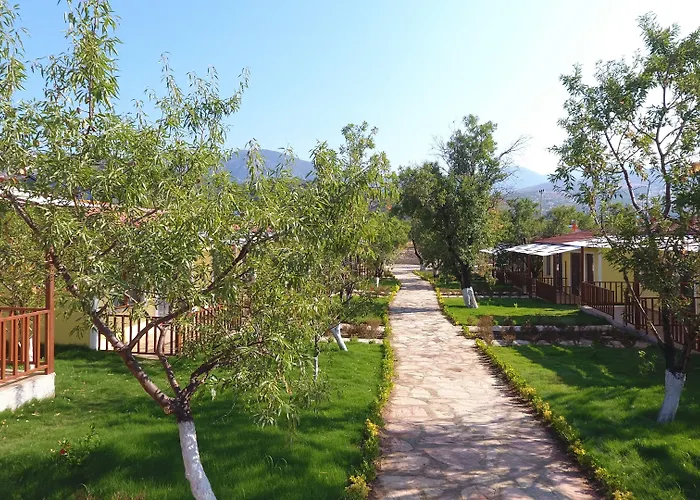 Selerdoga Evleri Palamutbuku