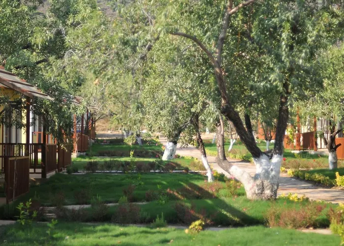 Selerdoga Evleri Hotell *